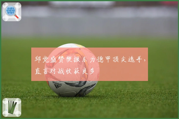 邱党盛赞樊振东为德甲顶尖选手，直言对战收获良多