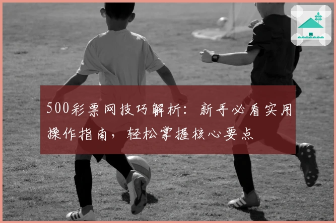 500彩票网技巧解析：新手必看实用操作指南，轻松掌握核心要点
