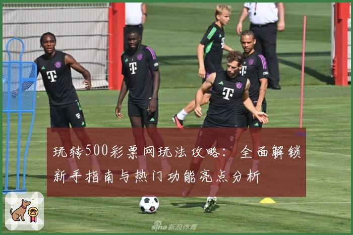 玩转500彩票网玩法攻略:全面解锁新手指南与热门功能亮点分析